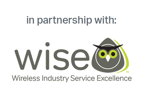 logo-in-partnership-with-wise-500x320.jpg